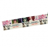 Digital Printed Ribbon 2 1/4" Single Face Satin