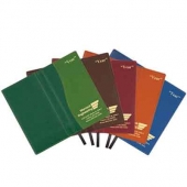 Duo Surge Planner