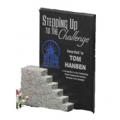 Cornerstone Award 8-3/4"