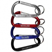 Medium Size Carabiner Keyholder with Split Ring Attachment