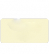 Budget Name Badge (Standard Size 3-1/32" x 1-17/32")