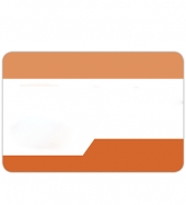 Phoenix Express Name Badge (Standard Size 3" x 2")