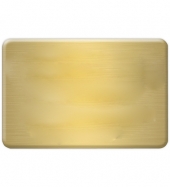 NY Custom Metal Name Badge ( between 6 and 9 sq. in.)
