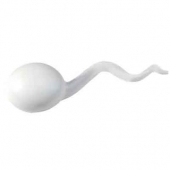 Sperm Stress Reliever