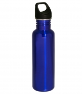 Streamline Stainless 26 oz. Bottle