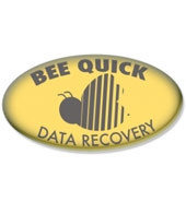 Domed Decals  - Vinyl -