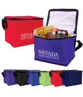 Budget 6-Pack Cooler