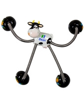 5 Point Animal Magnets - Cow