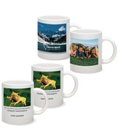 Hdi 11 oz Mug