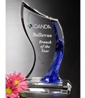 Potomac Indigo Award 9"
