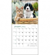 Puppies & Kittens - Mini