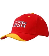 Brushed Heavy Cotton with Peak Inserts & Embroidery