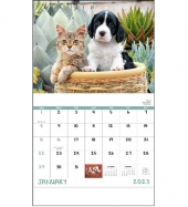 Puppies & Kittens - Stapled