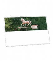 Corrugated Signs: Full Color Sm - FC 16" X 24"