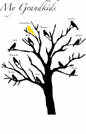 Gildan 8.5 oz. Premium Cotton Ringspun Crew