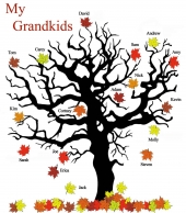 Gildan 8.5 oz. Premium Cotton Ringspun Crew