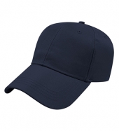 Solid Polyester Cap