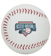 Synthetic Playable Baseball