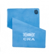 Chilly Icool Towel