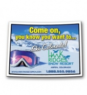 Colorado State Magnet
