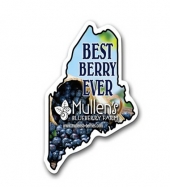 Maine State Magnet