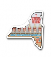 New York State Magnet