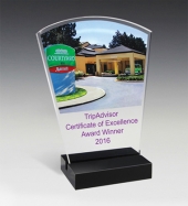 Freedom Acrylic Award