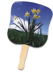 Stock Design Hand Fan - Daffodils