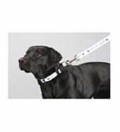 Full Color 1" Wide Premium Pet Leash