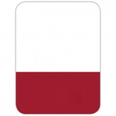 St. Paul Name Badge (Custom sized between 3 and 6 sq. in.)