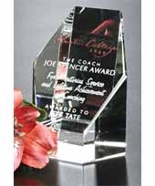 Citadel Award 3-1/4"
