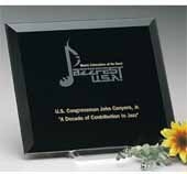 Illusion Black Award 8" x 10"