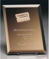 Imagery Bronze Award 8" x 10"