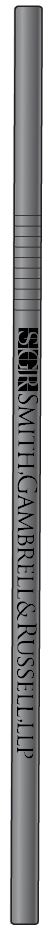 Stainless Steel Silver Straw W/ Brush