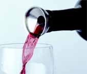 Stainless Steel Dripless Pourer™ & Stopper