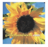 Square Magnet 2-29/32 x 2-29/32