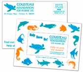 SuperSeal 4-1/8 x 5-5/8 Direct Mail Postcard