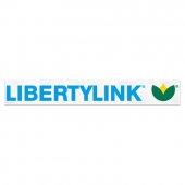 Ultra Removable Decal | Custom | Square Corner | Clear Polyester