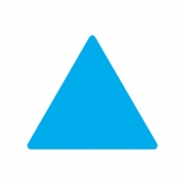 Special Shapes Roll Label | Triangle | 7/8" x 1" | White Gloss Pa